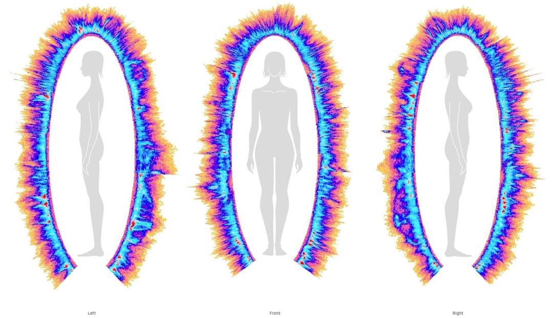 A real Arkanic Bio-Well energy field reading, left, front and right